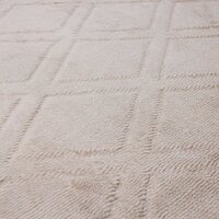 AksHome Geometry Faux Fur (160x230) Image #9