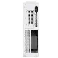 SilverStone SST-RVZ03W-ARGB Image #21
