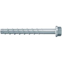 Fischer FBS II US ОЦ 14x70 10/-/- мм 536869 (20 шт)