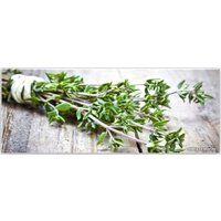 Orlix Зелень пряная GL-01056 30x80