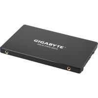 Gigabyte 256GB GP-GSTFS31256GTND Image #3