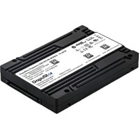 DapuStor Roealsen5 R5101 3.84TB