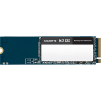 Gigabyte M.2 SSD 1TB GM21TB