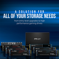 PNY CS1030 250GB M280CS1030-250-RB Image #5