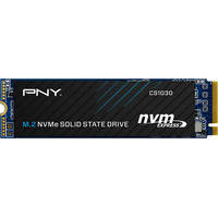 PNY CS1030 250GB M280CS1030-250-RB Image #1
