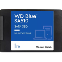 WD Blue SA510 1TB WDS100T3B0A Image #1