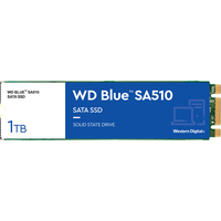 WD Blue 1TB WDS100T3B0B Image #1