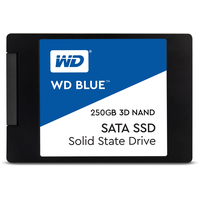 WD Blue 3D NAND 250GB [WDS250G2B0A]