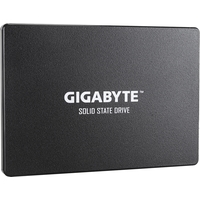 Gigabyte 1TB GP-GSTFS31100TNTD Image #2