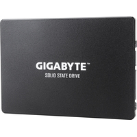 Gigabyte 1TB GP-GSTFS31100TNTD Image #1