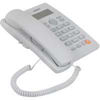 Sanyo RA-S306W Image #2