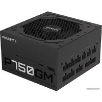 Gigabyte P750GM Image #2