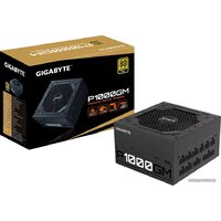 Gigabyte P1000GM Image #6