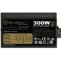 SilverStone SST-ST30SF v2.0 Image #4