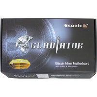 Esonic B250-BTC-Gladiator Image #4