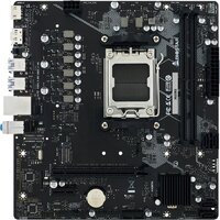 BIOSTAR A620MS Ver. 6.0