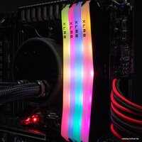 PNY XLR8 Gaming Epic-X RGB 2x8GB DDR4 PC4-25600 MD16GK2D4320016XRGB Image #6