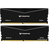 Acer Predator Pallas II 2x16ГБ DDR5 6400 МГц BL.9BWWR.531