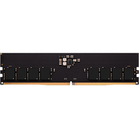AMD Radeon R5 Entertainment Series 16ГБ DDR5 5600 МГц R5516G5600U1S-U