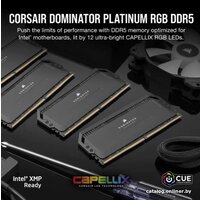 Corsair Dominator Platinum RGB 2x32ГБ DDR5 5200 МГц CMT64GX5M2B5200C40 Image #27