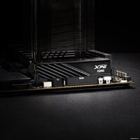 ADATA XPG Lancer Blade 2x32ГБ DDR5 5600 МГц AX5U5600C4632G-DTLABBK Image #4