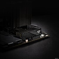 ADATA XPG Lancer Blade 2x32ГБ DDR5 5600 МГц AX5U5600C4632G-DTLABBK Image #6