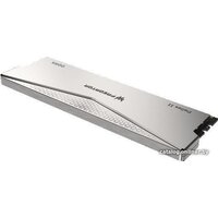 Acer Predator Pallas II 2x16ГБ DDR5 6400 МГц BL.9BWWR.532 Image #5