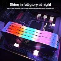 Netac Shadow RGB 2x8ГБ DDR4 2666МГц NTSRD4P26DP-16E Image #6