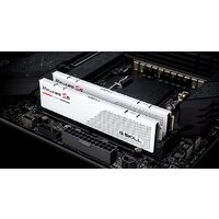 G.Skill Ripjaws S5 2x16ГБ DDR5 5200 МГц F5-5200J4040A16GX2-RS5W Image #4