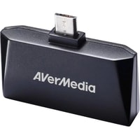 AverMedia AVerTV Mobile 510 EW510