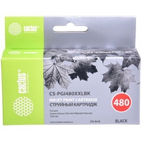 CACTUS CS-PGI480XXLBK (аналог Canon PGI-480XXL PGBK) Image #1