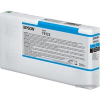 Epson C13T913200
