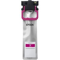 Epson C13T01C300