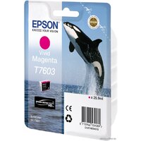 Epson C13T76034010 Image #2